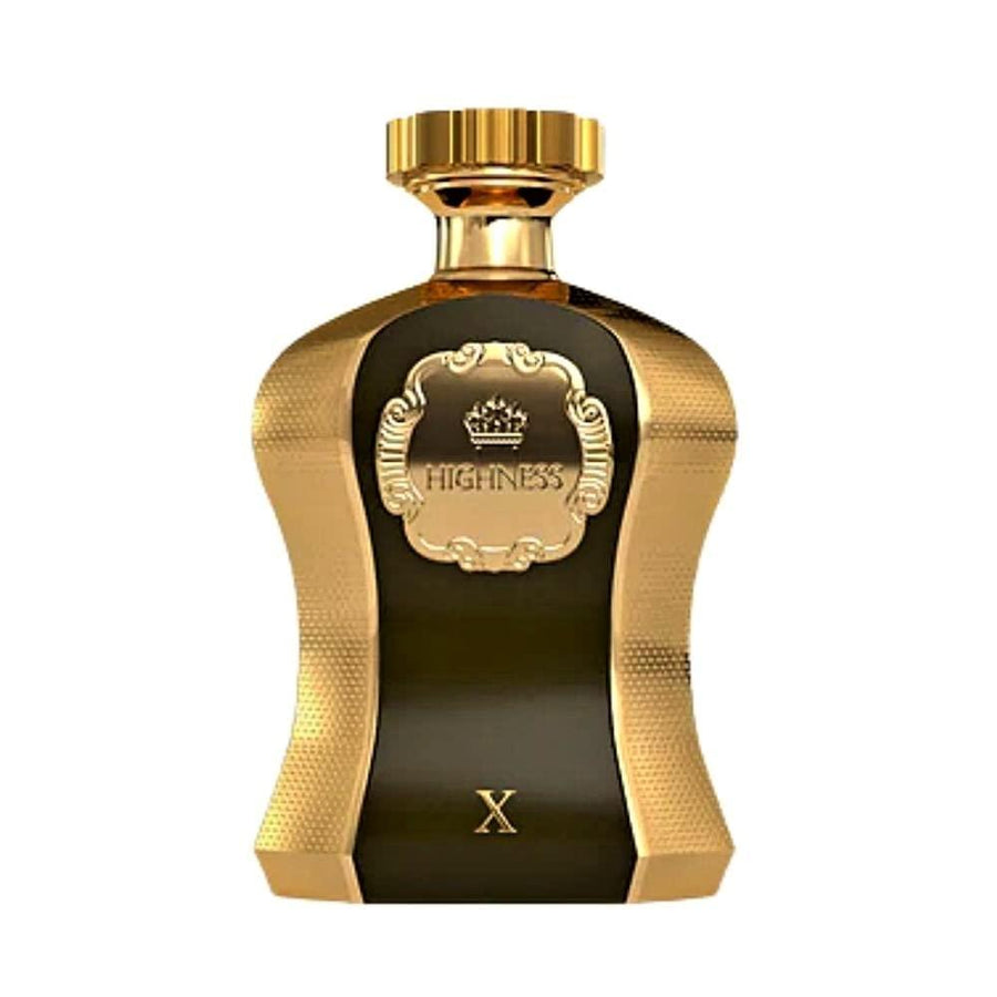 AFNAN Highness X Eau De Parfum 100 ML - Parfumby.com