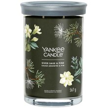 YANKEE CANDLE Silver Sage & Pine Signature Tumbler Candle ( stříbrná šalvěj + borovice ) - Vonná svíčka