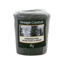 YANKEE CANDLE Evergreen Mist Candle 49.0 g - Parfumby.com