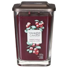 YANKEE CANDLE Elevation Candied Cranberry Candle ( kandované brusinky ) - Vonná svíčka 552.0g