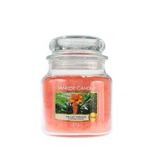 YANKEE CANDLE The Last Paradise Candle - Scented candle 104 G - Parfumby.com