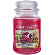 YANKEE CANDLE Red Raspberry Candle - Raspberry Candle 104 G - Parfumby.com