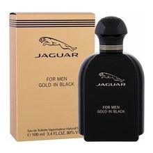 JAGUAR Gold in Black Eau De Toilette 100 ML - Parfumby.com