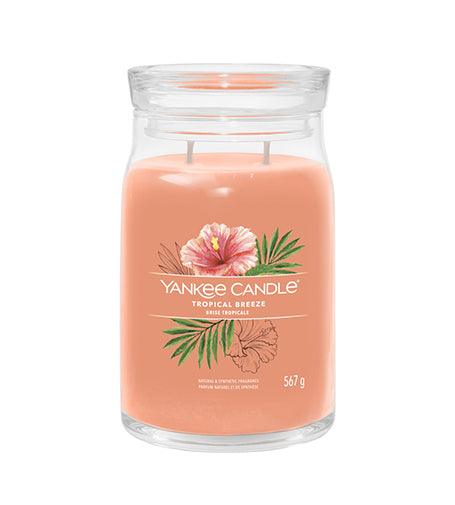 YANKEE CANDLE Tropical Breeze Signature Candle Large 567 G - Parfumby.com