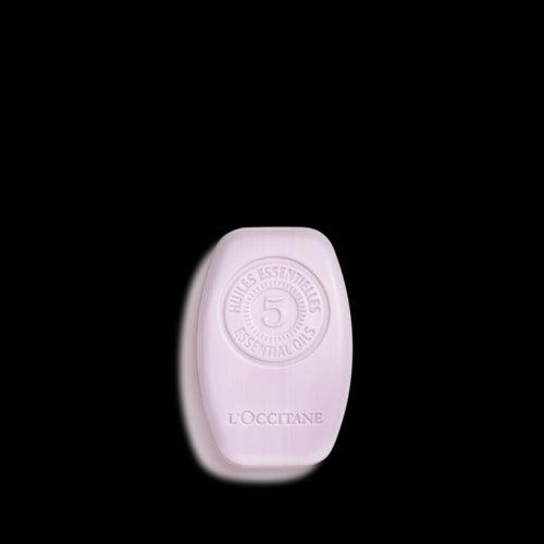 L'OCCITANE EN PROVENCE Balance & Smoothness Solid Shampoo 60 G - Parfumby.com