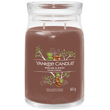 YANKEE CANDLE Praline &amp; Birch Signature Candle ( pralinka + bříza ) - Vonná svíčka