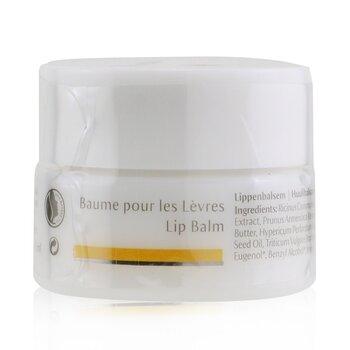 DR. HAUSCHKA DR. HAUSCHKA Lip Balm Anti-wrinklesl 4.5 ML - Parfumby.com