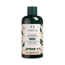 THE BODY SHOP Ginger Conditioner 250 ml - Parfumby.com