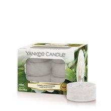 YANKEE CANDLE Camellia Blossom Candle - Aromatic Tea Candles (12 Pcs) 9.8g 9.8 G - Parfumby.com