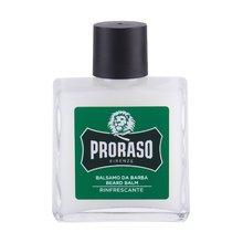 PRORASO Green Beard Balsam 100 ML - Parfumby.com